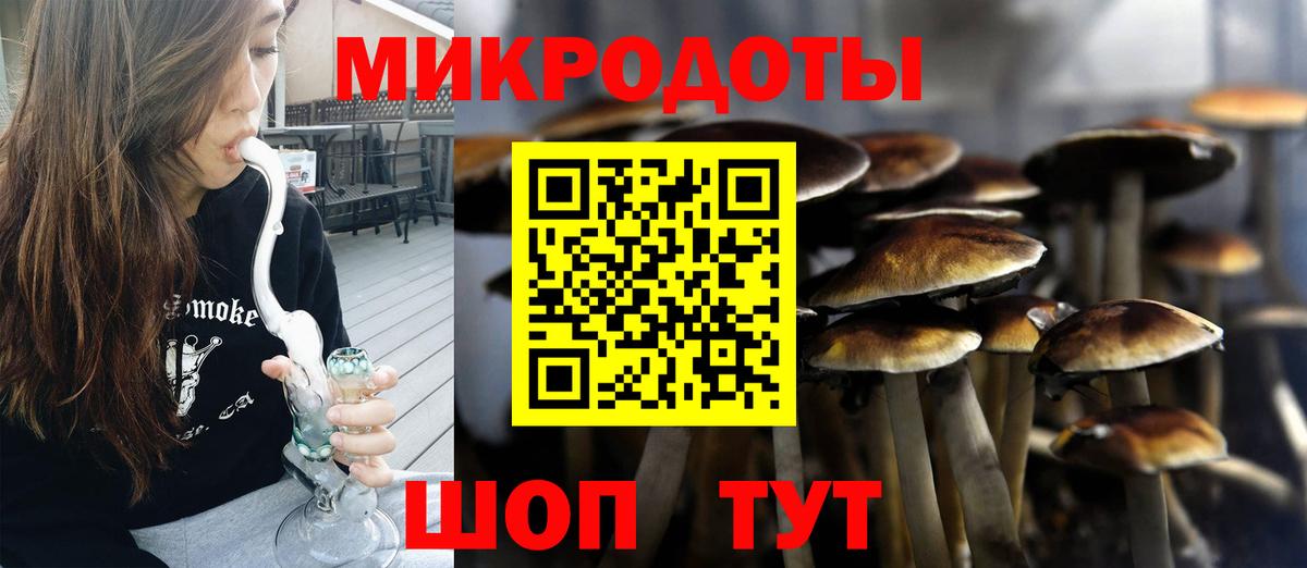 Псилоцибиновые грибы Psilocybe  где найти   Гусиноозёрск  Вход с VPN 
