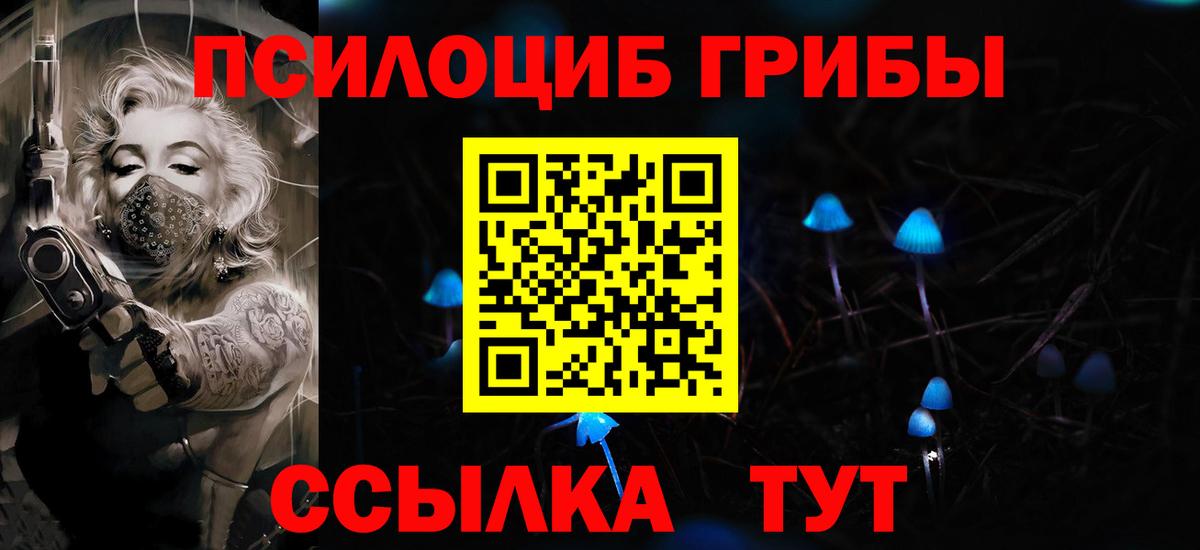 Псилоцибиновые грибы Magic Shrooms Гусиноозёрск